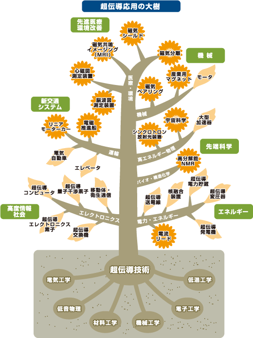 超電導応用の大樹