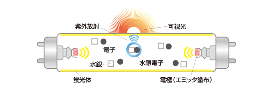 蛍光ランプ