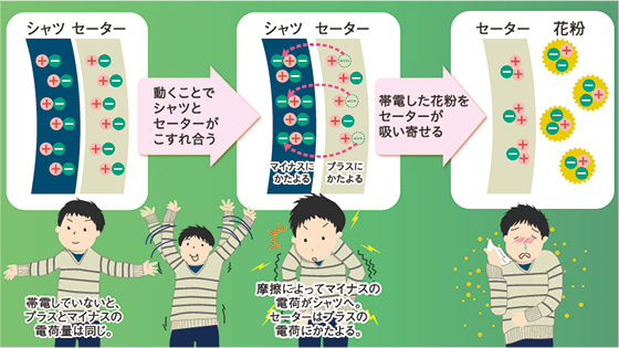 静電気が、花粉を引き寄せる