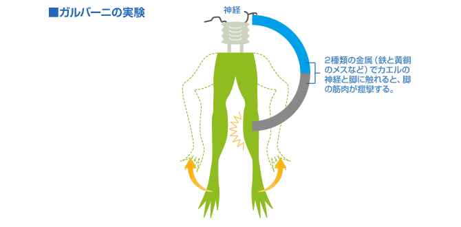 ガルバーニの実験