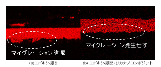 図１　走査型電子顕微鏡による試料断面の元素分析結果