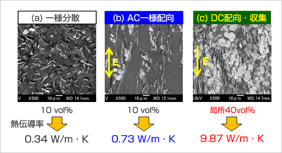 図２　フィラー電界配向によるフィラー配向・収集と熱伝導率結果