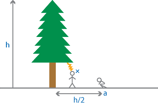 図2 樹木周囲で落雷を避ける方法