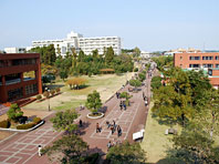 University of Miyazaki