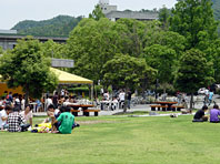 山口大学